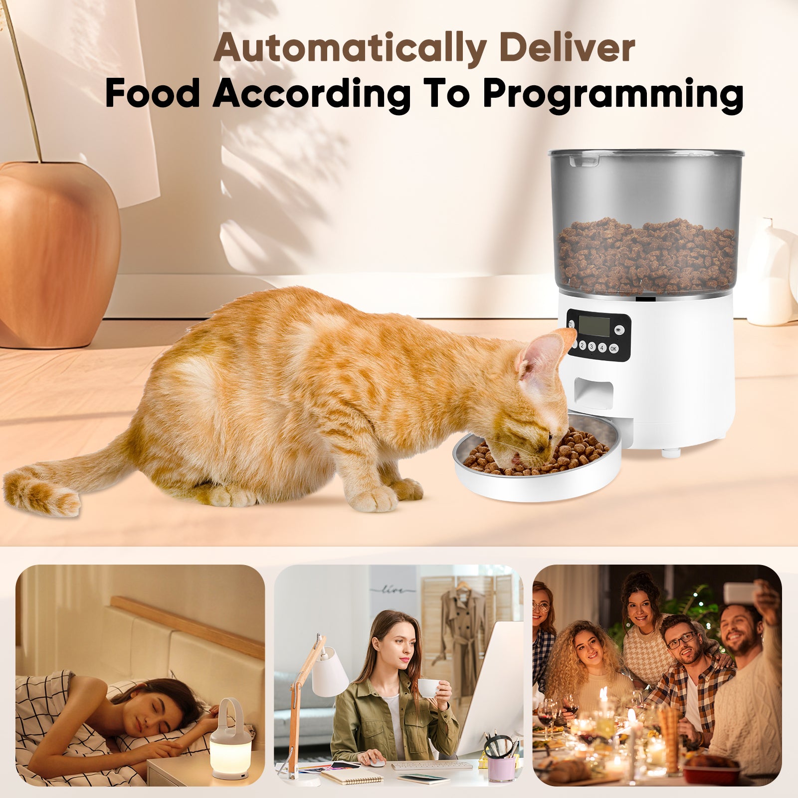 Anykuu 4L Automatic Cat Feeder Dispenser 1-6 Meals a Day Cat and Dog Food with Recording Function and Stainless Steel Bowl, USB, White